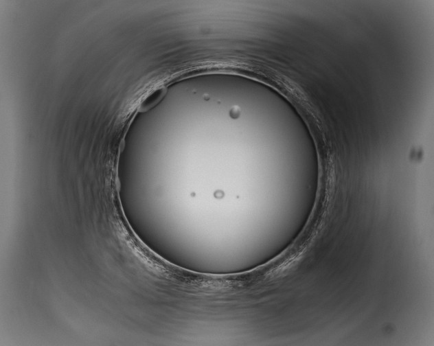 X0000115620985200911241620