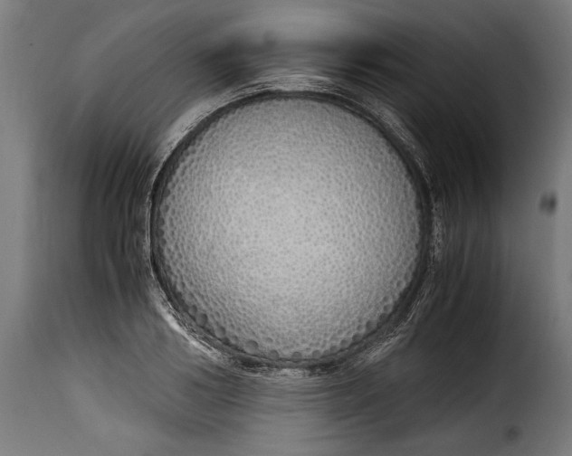 X0000115620986200911241620