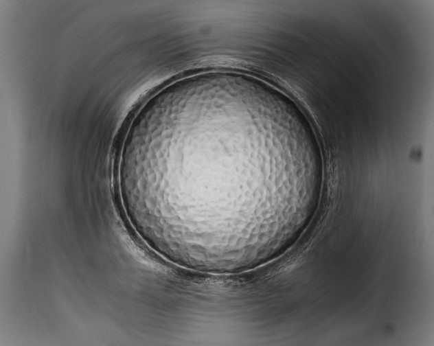 X0000115620987200911241620