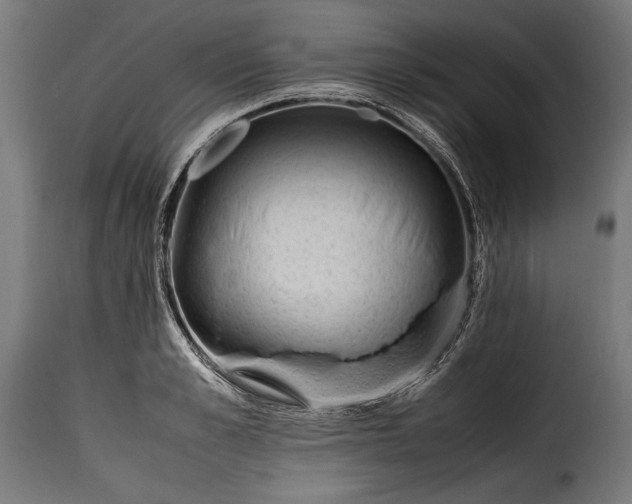 X0000115620989200911241620