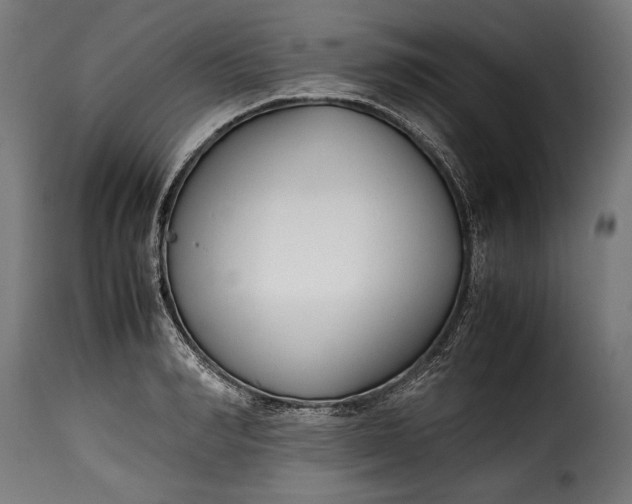 X0000115620990200911241620