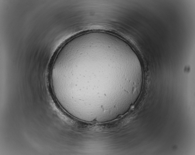 X0000115620991200911241620