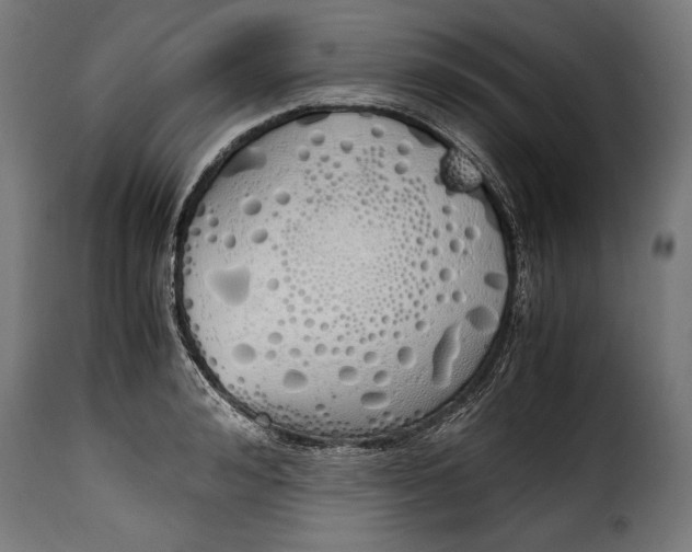 X0000115620992200911241620