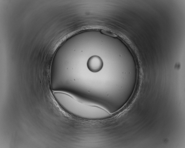 X0000115620993200911241620