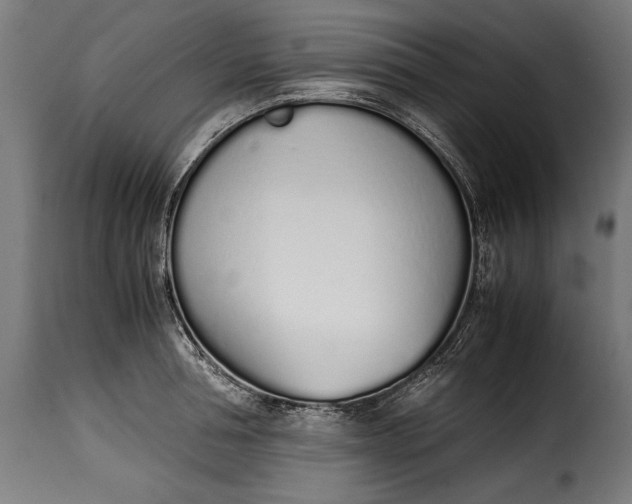 X0000115620994200911241620