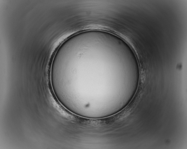 X0000115620995200911241620