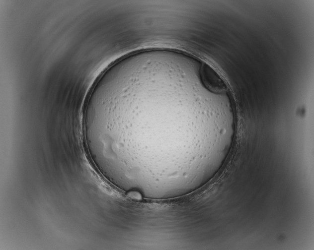 X0000115620996200911241620