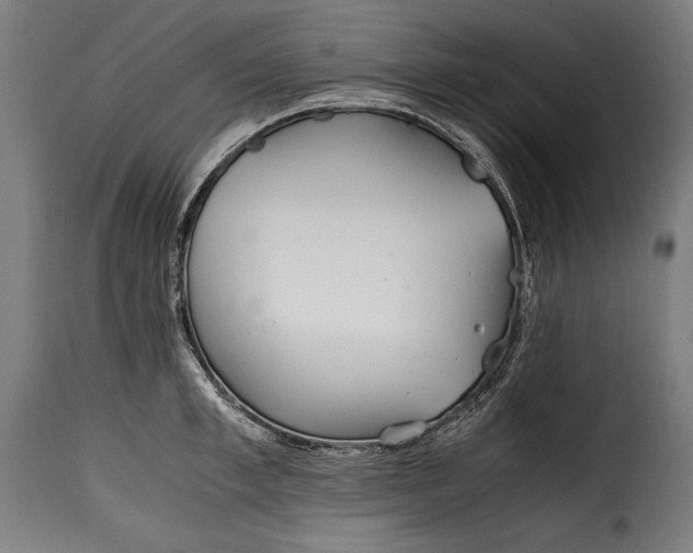 X0000115620997200911241620