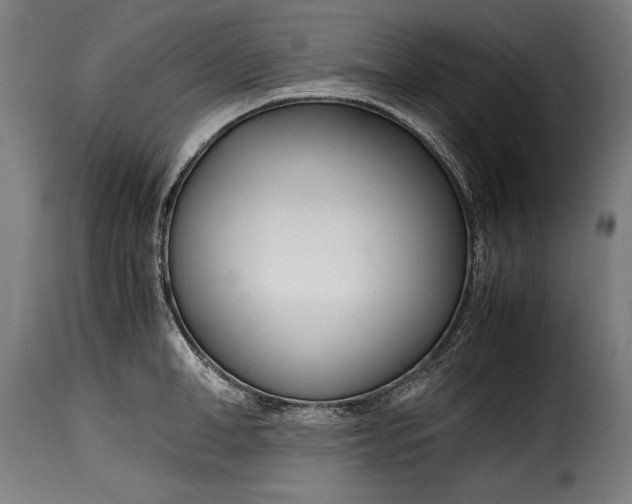 X0000115620998200911241620