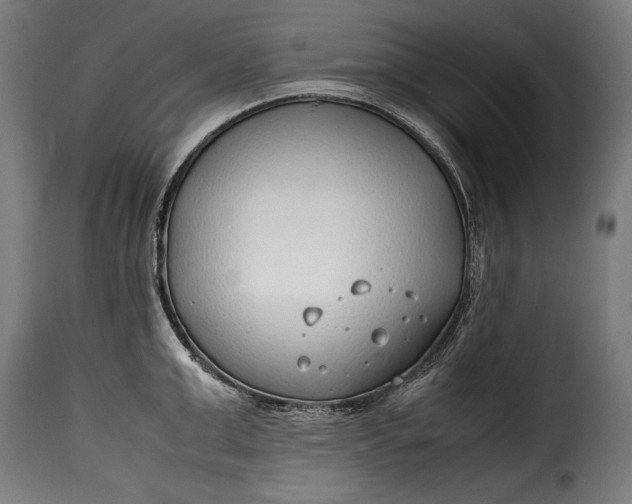 X0000115620999200911241620