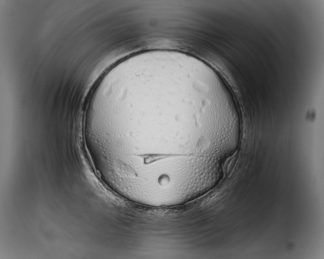 X0000115621000200911241619