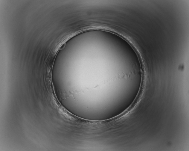 X0000115621001200911241619