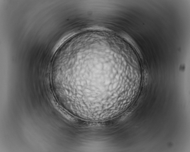 X0000115621002200911241619