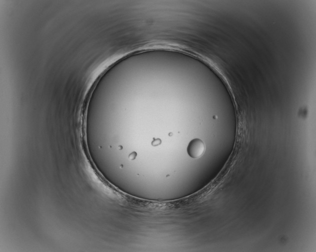 X0000115621003200911241619