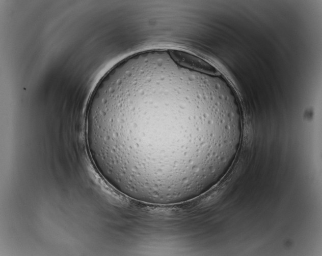 X0000115621004200911241619