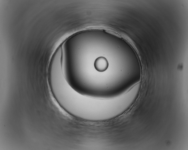 X0000115621005200911241619