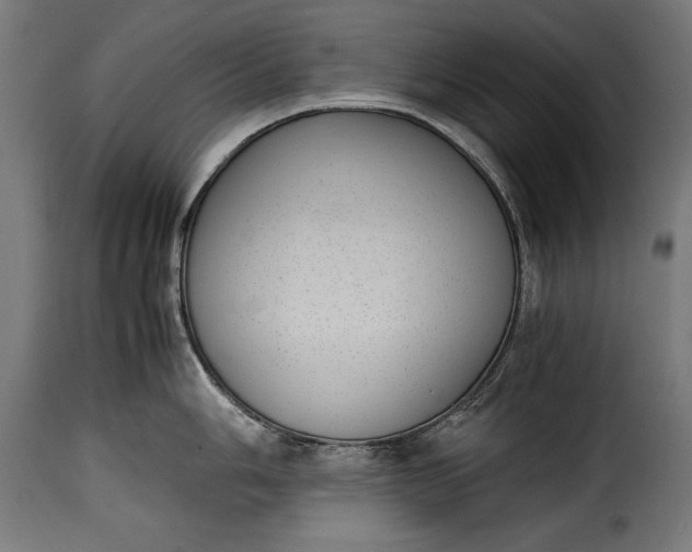 X0000115621006200911241619