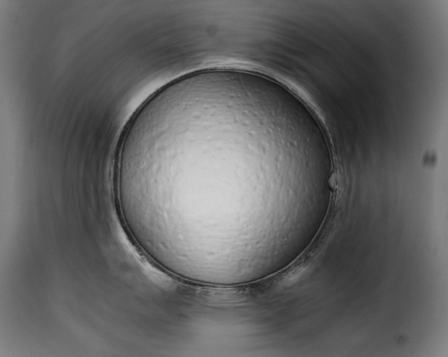 X0000115621007200911241619