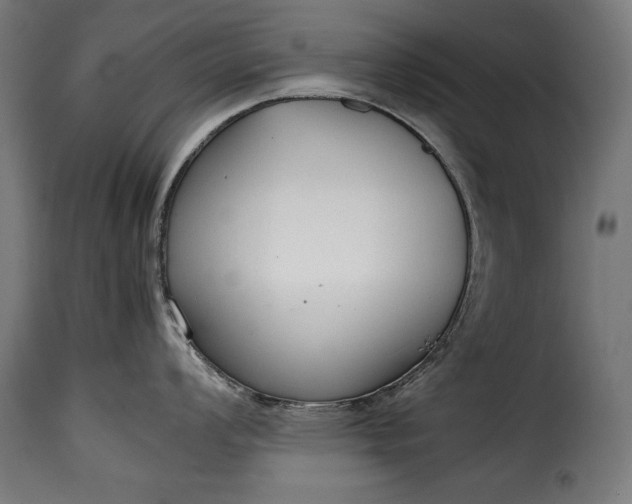 X0000115621008200911241619