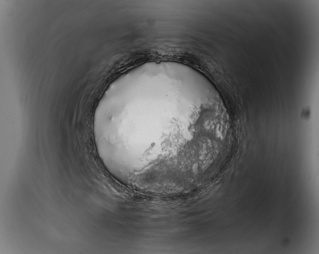 X0000115621009200911241619