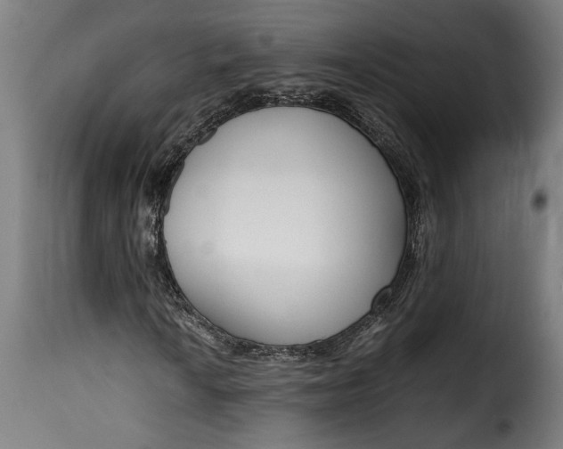 X0000115621010200911241619