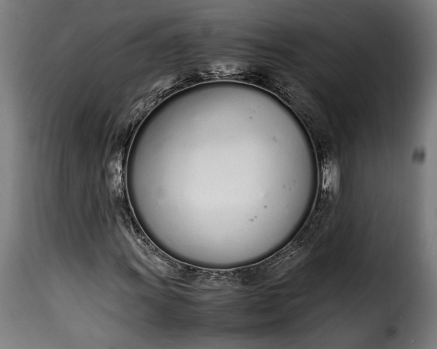 X0000115621011200911241619