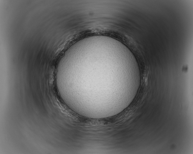 X0000115621012200911241619