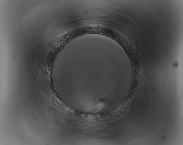 X0000115621013200911241619