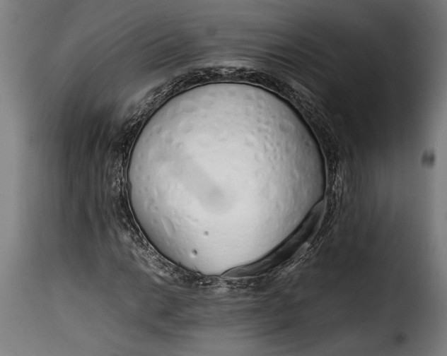 X0000115621014200911241619