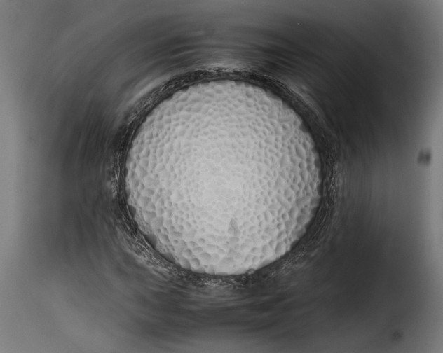 X0000115621015200911241619