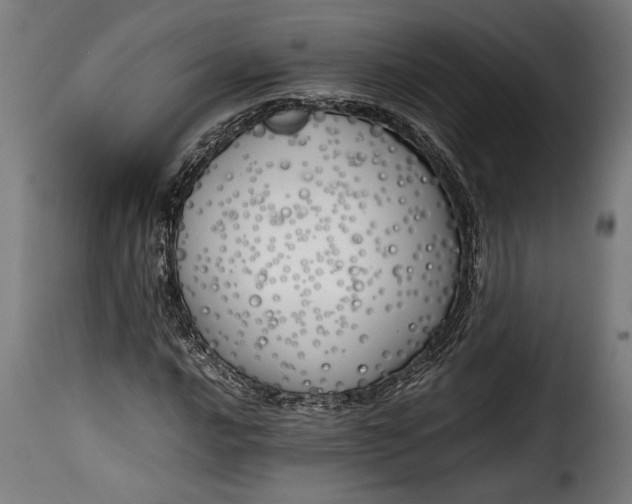 X0000115621016200911241619