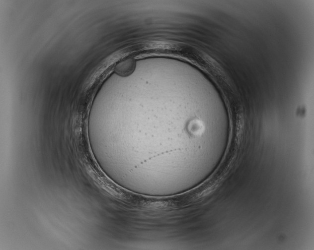 X0000115621017200911241619