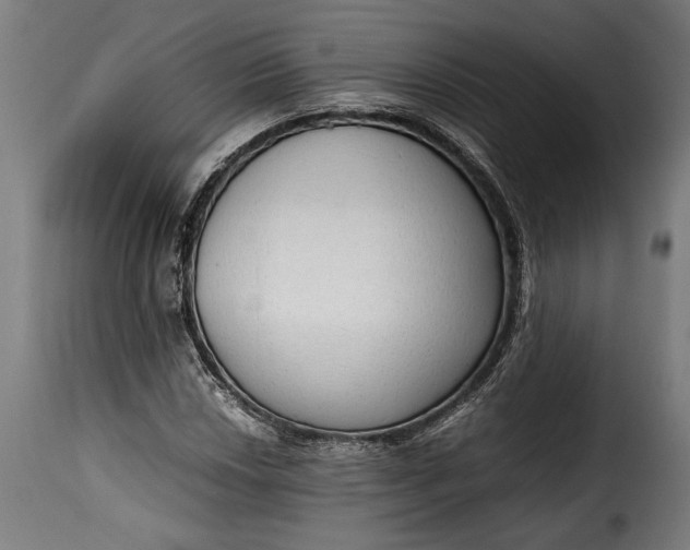 X0000115621018200911241619