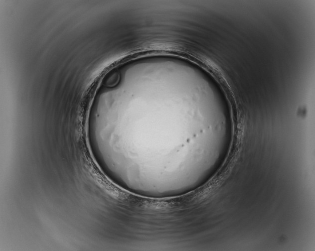 X0000115621019200911241619