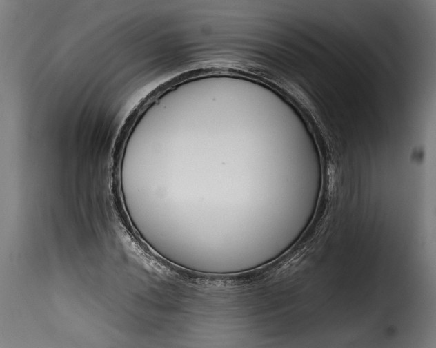 X0000115621020200911241619