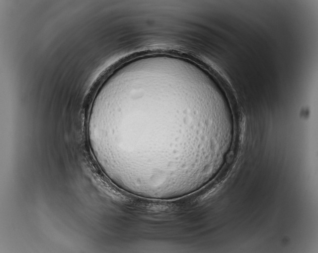 X0000115621021200911241619