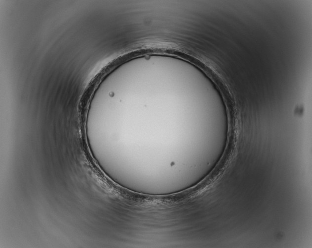 X0000115621022200911241619