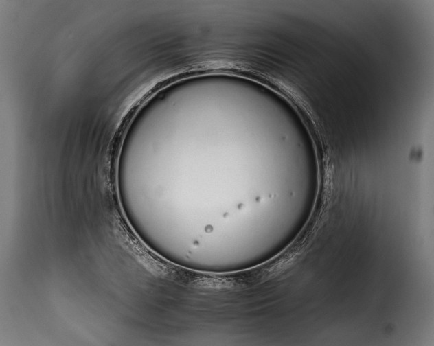 X0000115621023200911241619