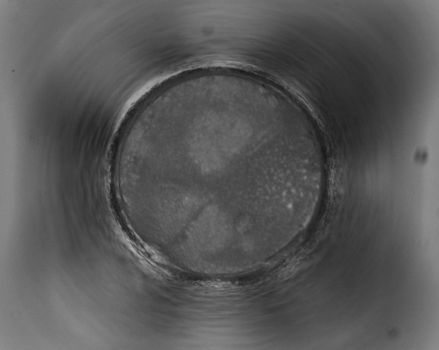 X0000115621024200911241619