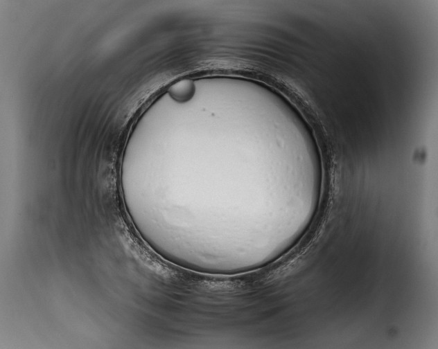 X0000115621025200911241619