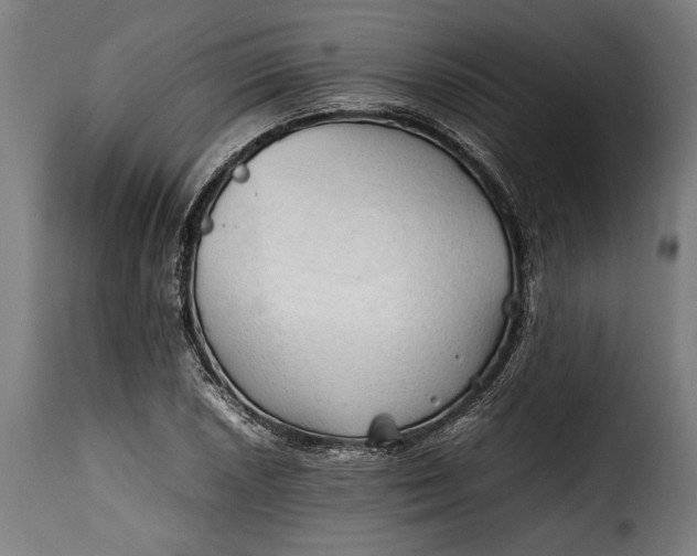 X0000115621026200911241619