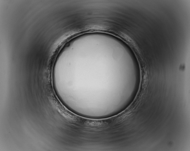 X0000115621027200911241619