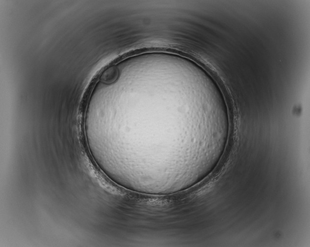 X0000115621029200911241619