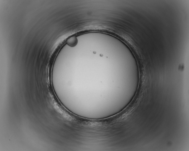 X0000115621030200911241619