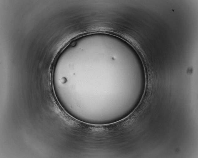 X0000115621031200911241619