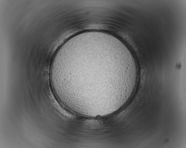 X0000115621033200911241619