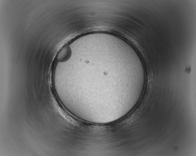 X0000115621034200911241619