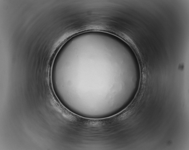 X0000115621035200911241619