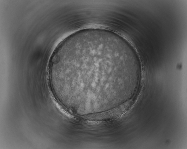 X0000115621037200911241619