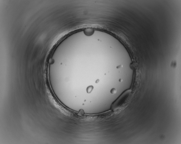 X0000115621038200911241619